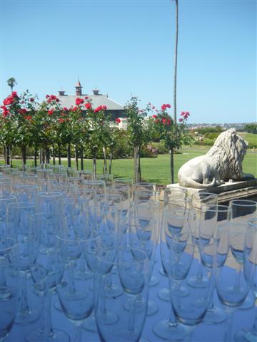 champagne drinks rose garden royal boatnic gardens sydney wedding