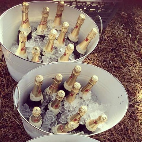 champagne drinks on ice