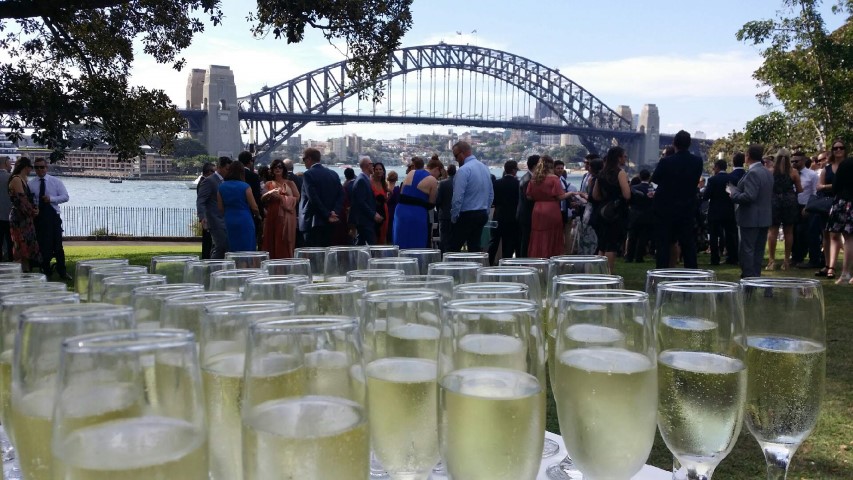 champagne drinks sydney harbour