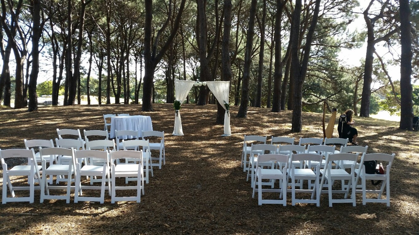 centennial parklands wedding ceremony pine grove