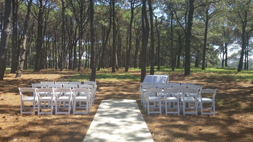 pine grove centennial parklands wedding sydney
